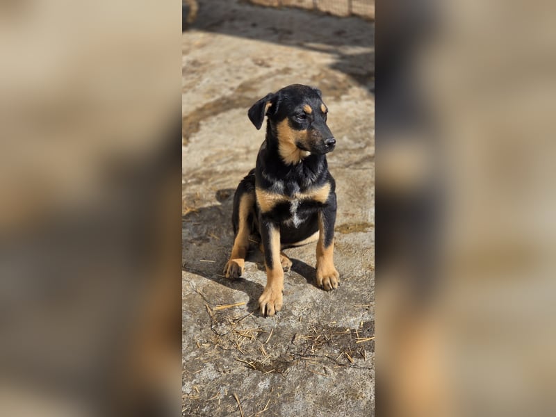 Mirona wartet in 97724 Burglauer auf Besuch