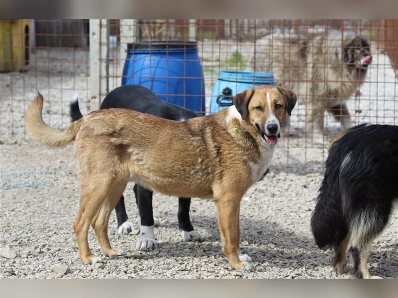 Anikan ist bereit für seine große Reise