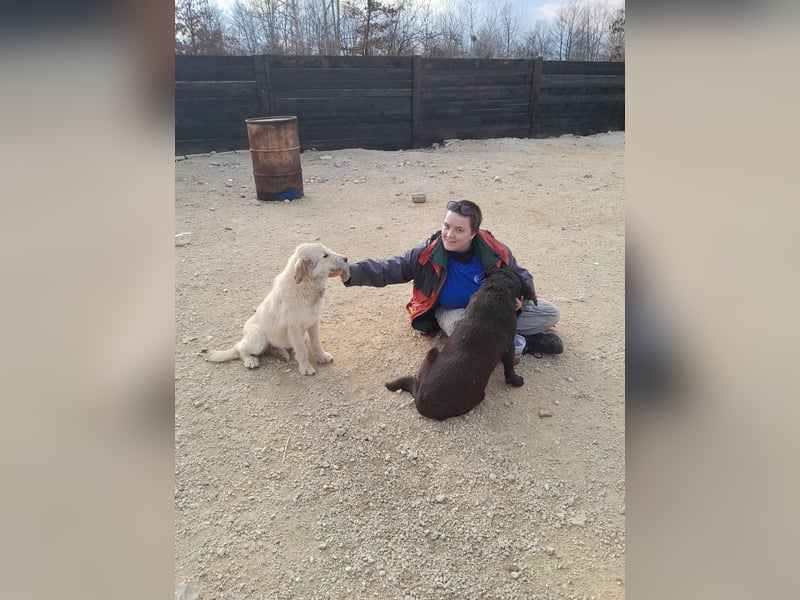 Nora - ein freches, fröhliches Hundemädchen sucht ihre Familie