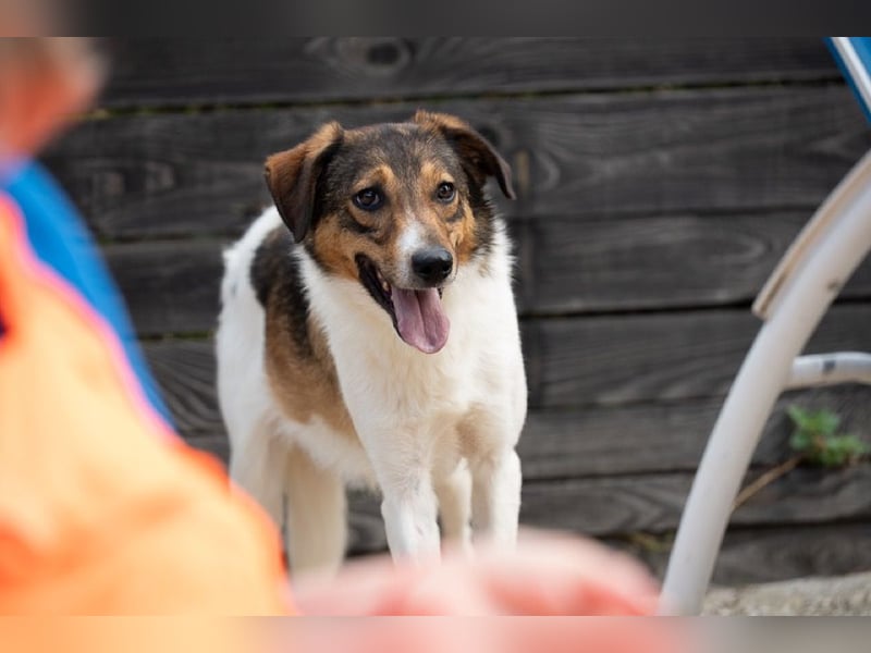 Peppone möchte die Welt erkunden