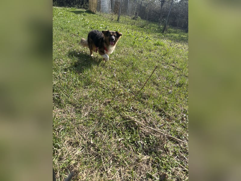 Coolio sucht sein Fürimmerzuhause