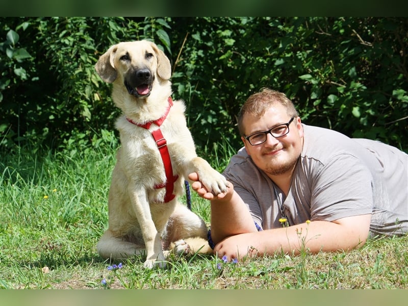 Wer schenkt unserem unsicheren Teo ein behütetes Zuhause?