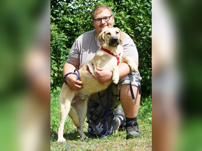 Wer schenkt unserem unsicheren Teo ein behütetes Zuhause?