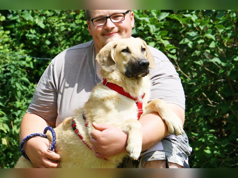 Wer schenkt unserem unsicheren Teo ein behütetes Zuhause?