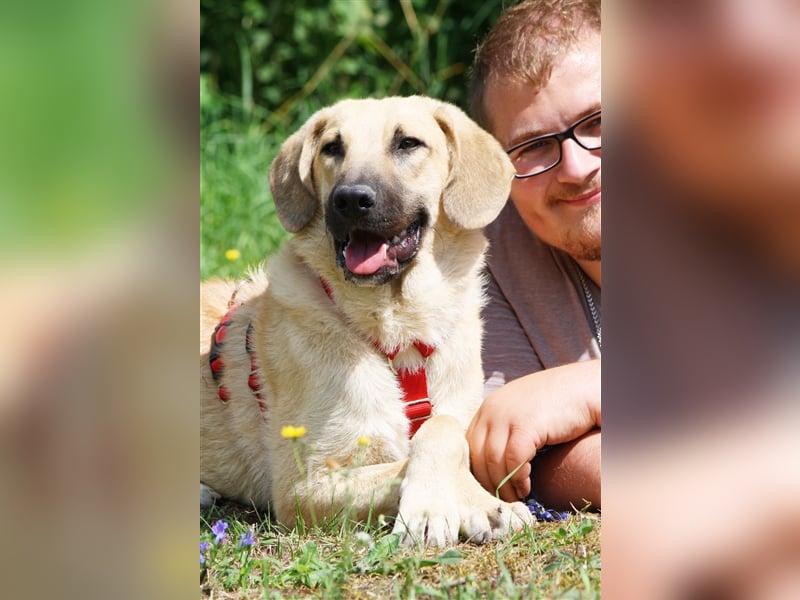 Wer schenkt unserem unsicheren Teo ein behütetes Zuhause?