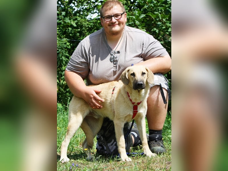 Wer schenkt unserem unsicheren Teo ein behütetes Zuhause?