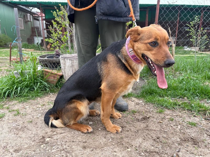 Die Süße Madlena sucht ihre Familie!