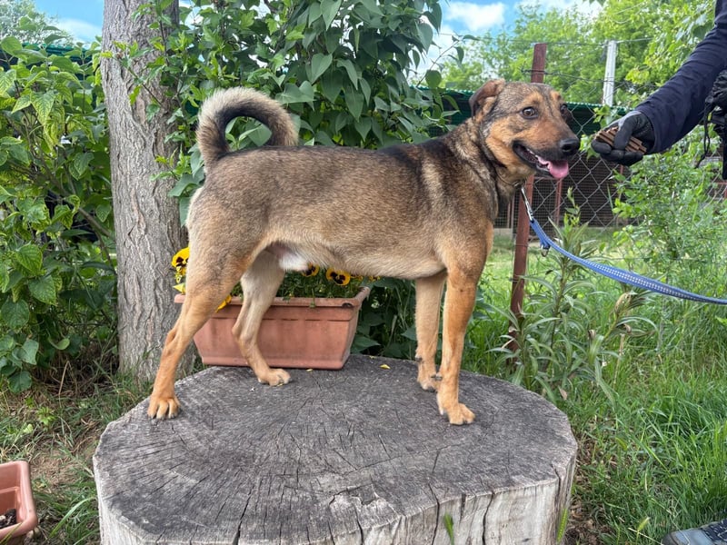 Prometeusz wartet auf sein Glück!