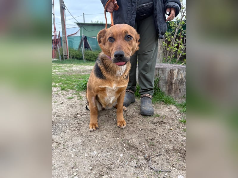 Die Süße Madlena sucht ihre Familie!