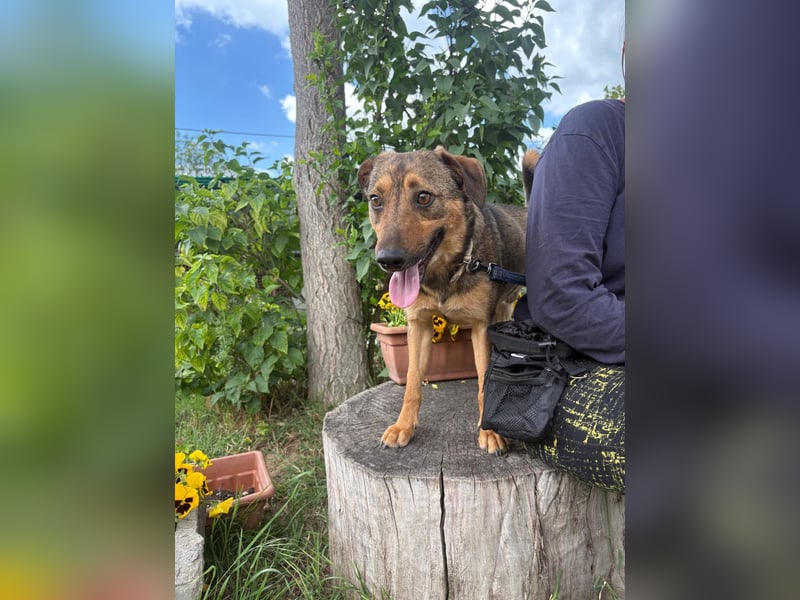 Prometeusz wartet auf sein Glück!