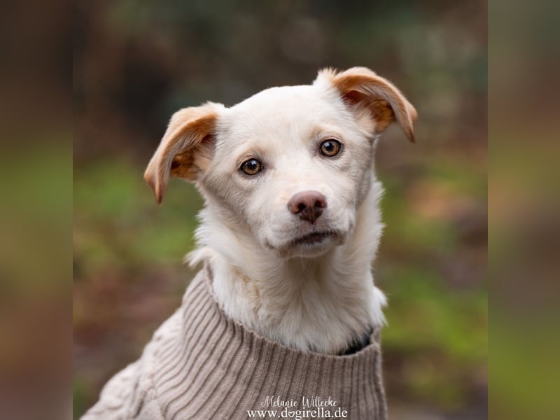 Hübsche junge Fleur sucht ein Zuhause