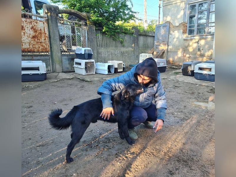 Lucky sucht ein Für-immer-Zuhause