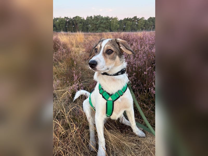 Robin möchte mit dir die Welt entdecken