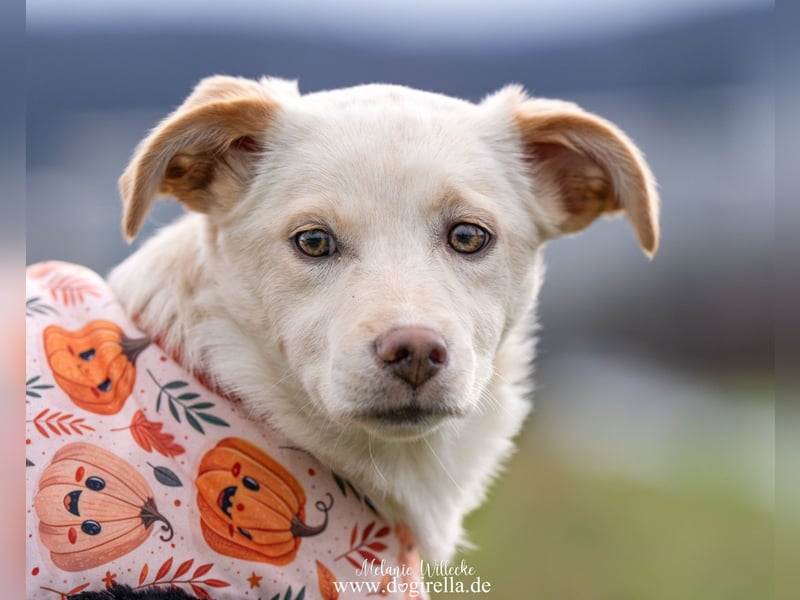 Hübsche junge Fleur sucht ein Zuhause