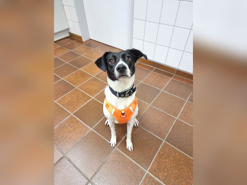 Gin in Köln sucht ihre Menschen
