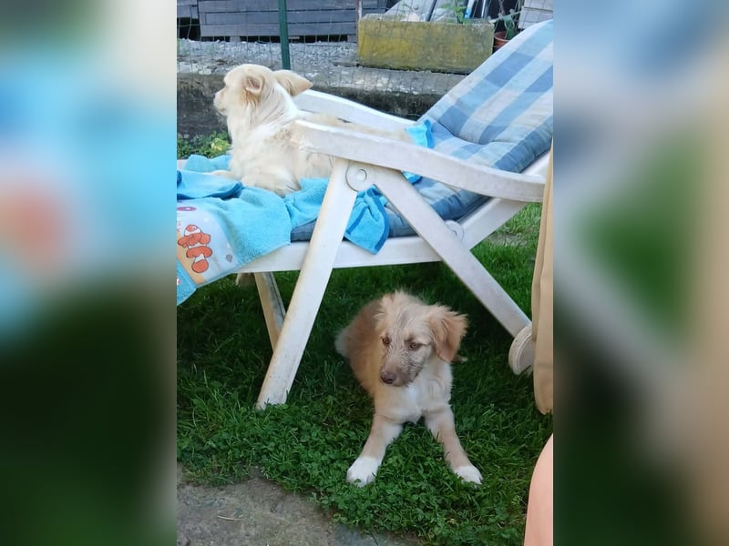 Sara sucht ihre Für-immer-Familie