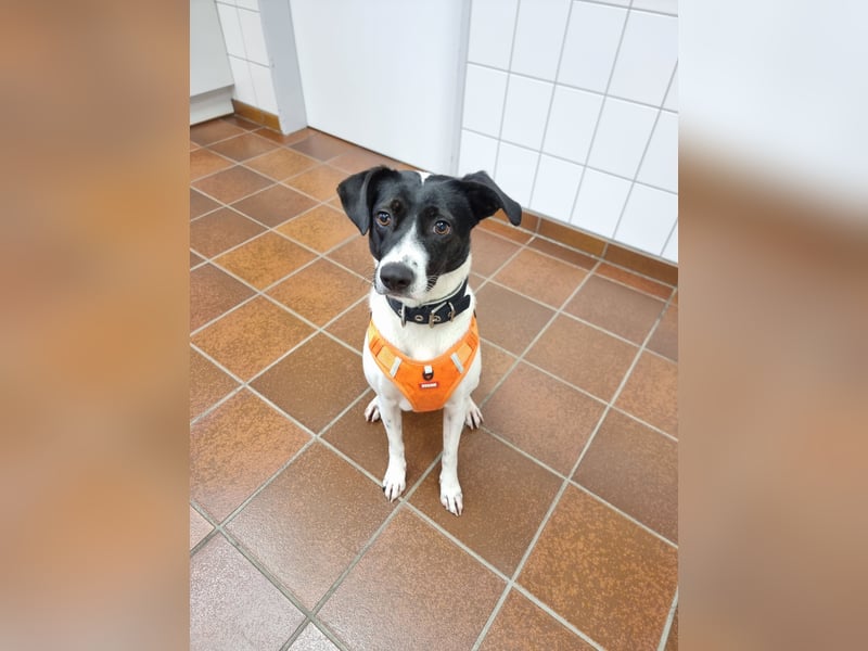 Gin in Köln sucht ihre Menschen