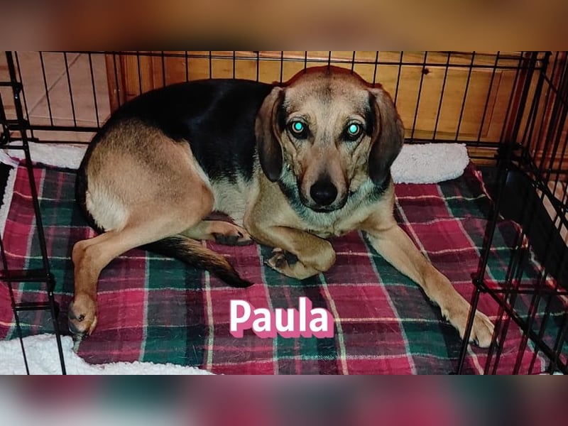 Paula - ruhig, vorsichtig, liebevoll