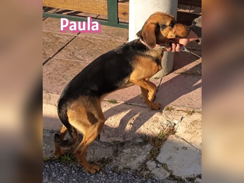 Paula - ruhig, vorsichtig, liebevoll