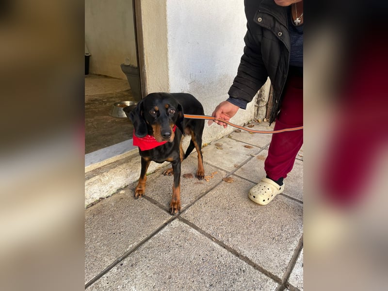 Handicap Lilith - schüchtern und freundlich