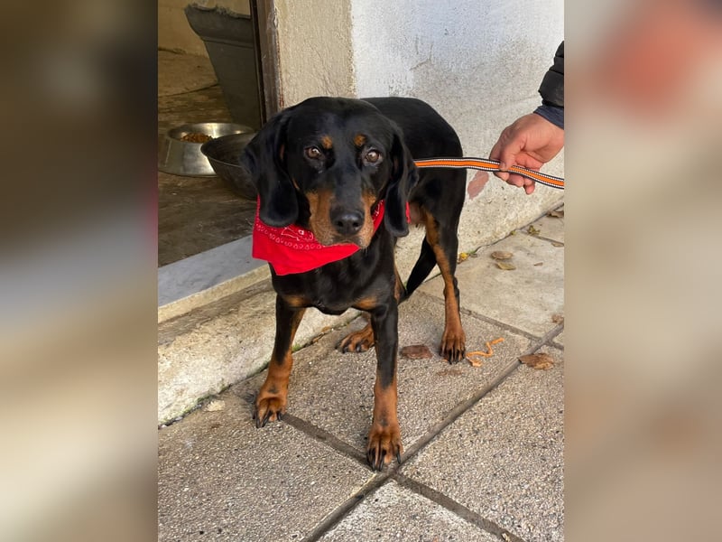 Handicap Lilith - schüchtern und freundlich