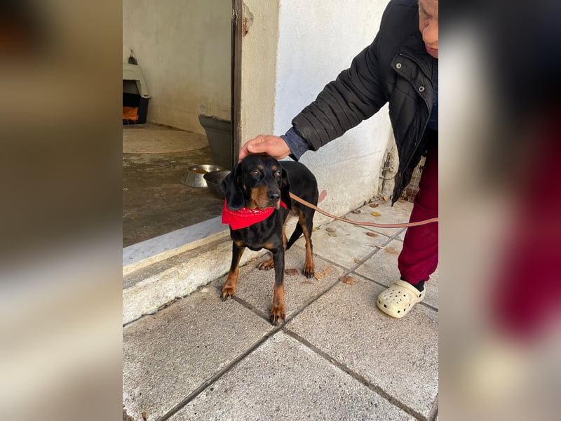 Handicap Lilith - schüchtern und freundlich