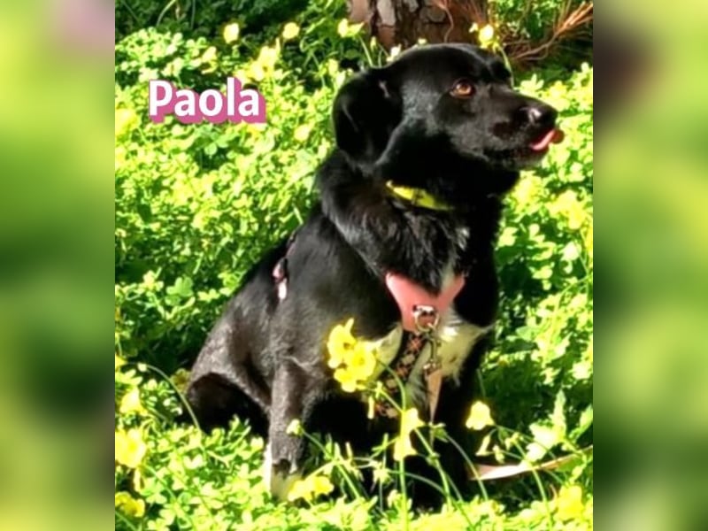 Paola - lernwillig und bewegungsfreudig