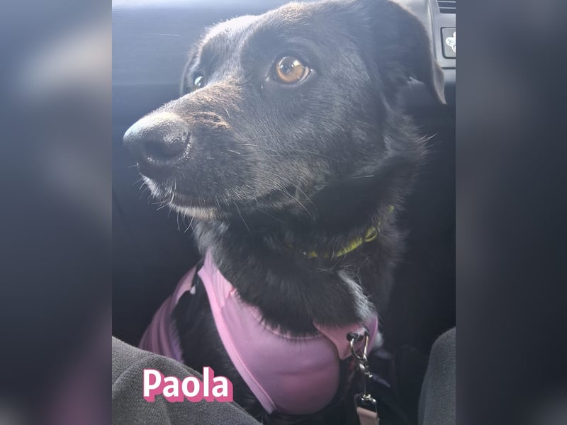 Paola - lernwillig und bewegungsfreudig