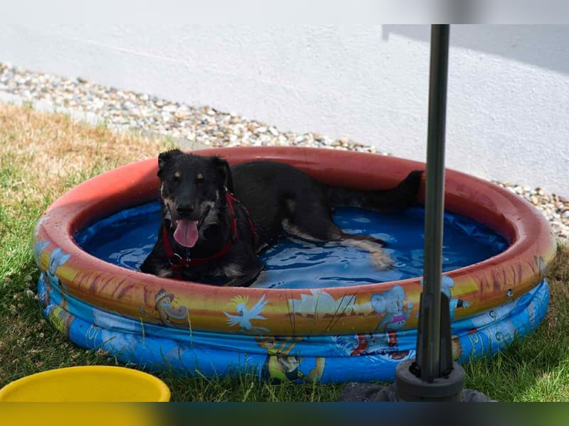 Verschmuste Fanny sucht ihre Familie