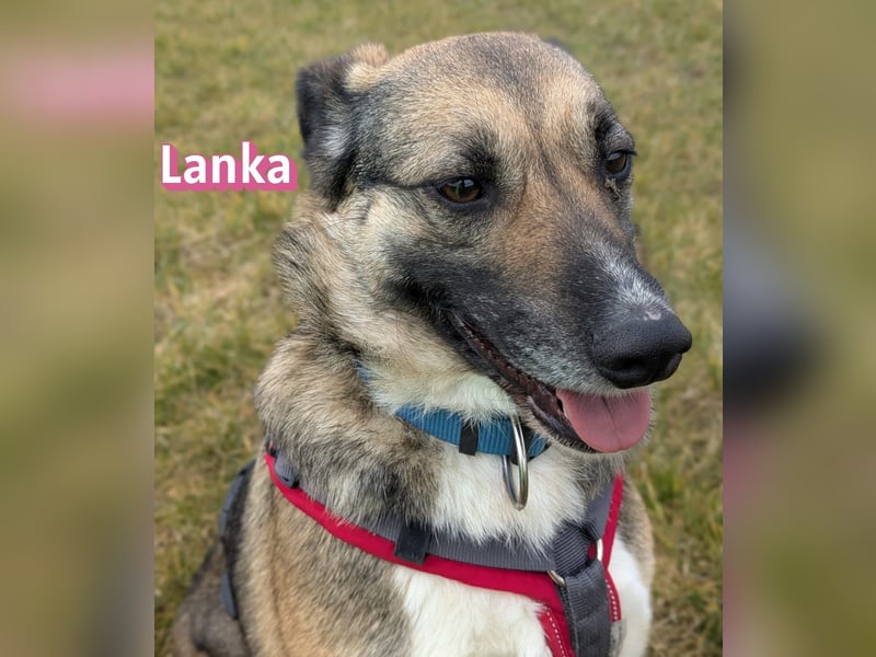 Vermittlungshilfe Lanka; 69221 Dossenheim