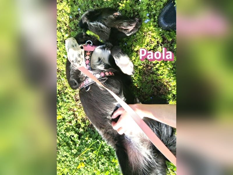 Paola - lernwillig und bewegungsfreudig