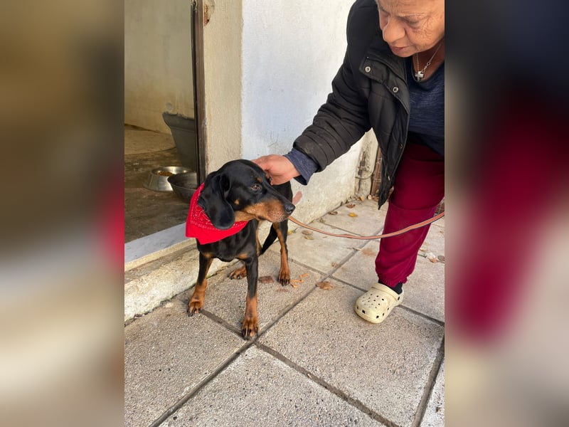 Handicap Lilith - schüchtern und freundlich