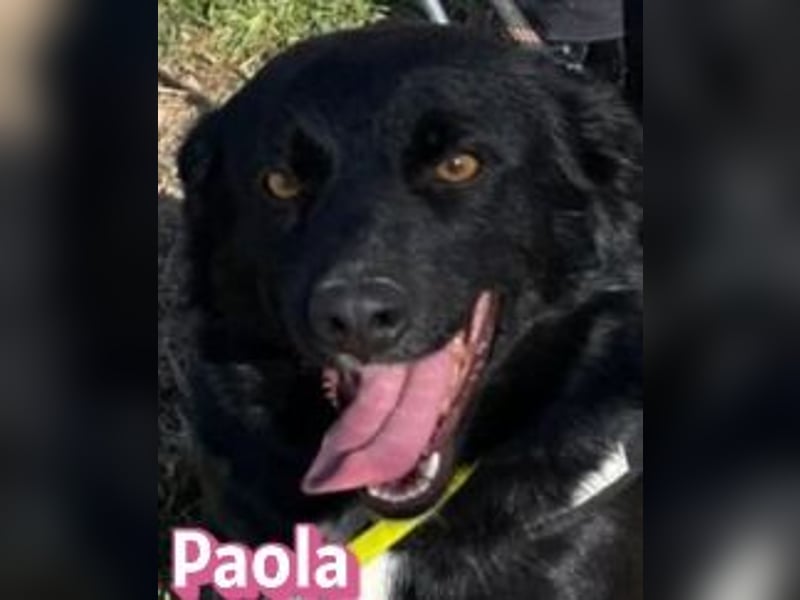 Paola - lernwillig und bewegungsfreudig