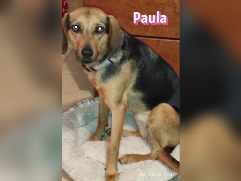 Paula - ruhig, vorsichtig, liebevoll