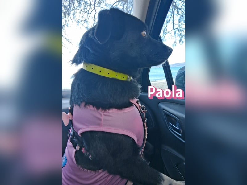 Paola - lernwillig und bewegungsfreudig