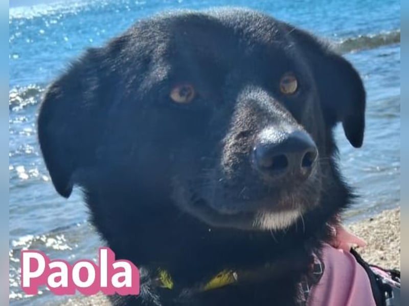 Paola - lernwillig und bewegungsfreudig