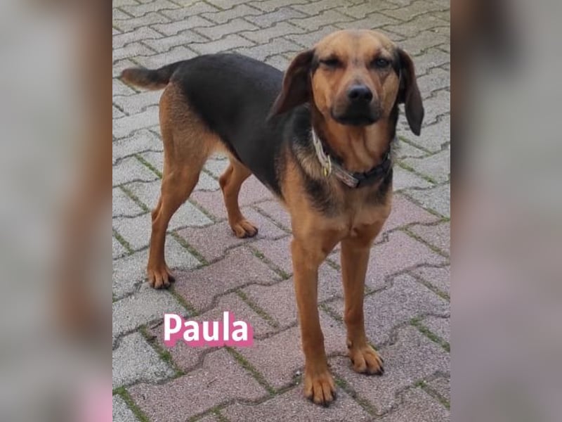 Paula - ruhig, vorsichtig, liebevoll
