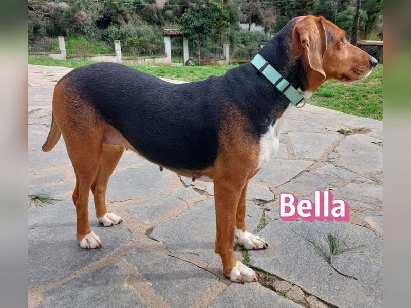Bella - freundlich und sozial