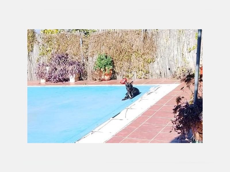 Marco (TO) bildhübscher, lebhafter und liebevoller junger Bube