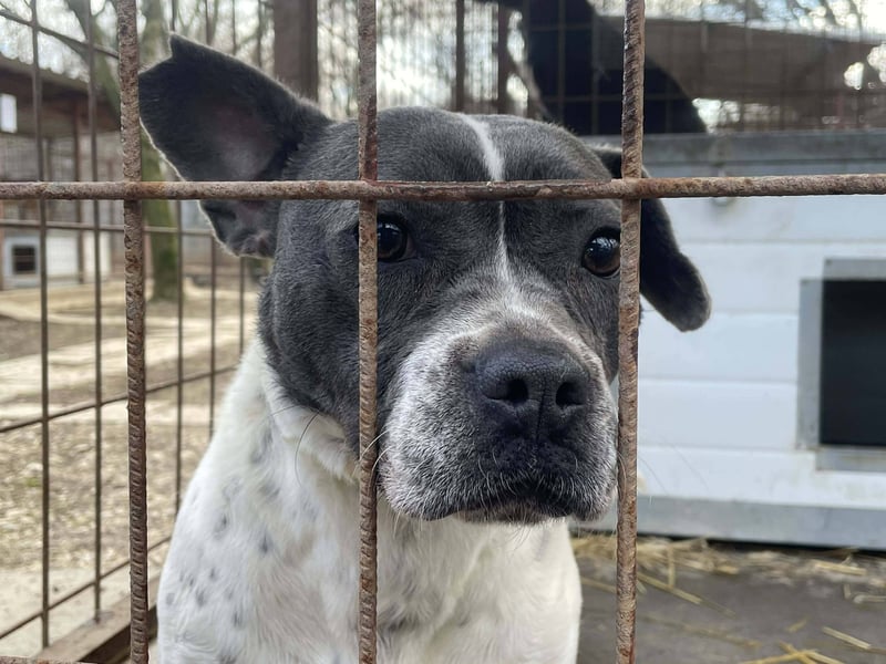 Liebenswerte Sheyran