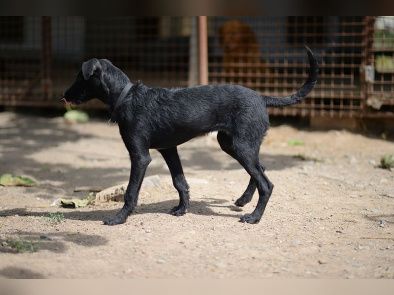Onyx