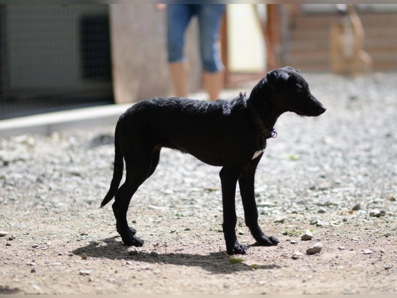 Onyx