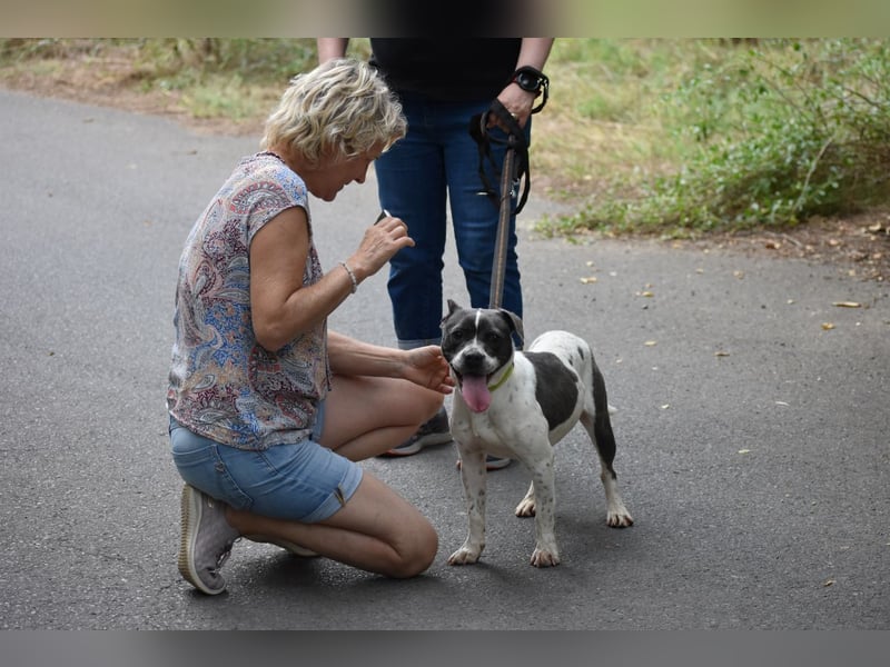 Liebenswerte Sheyran