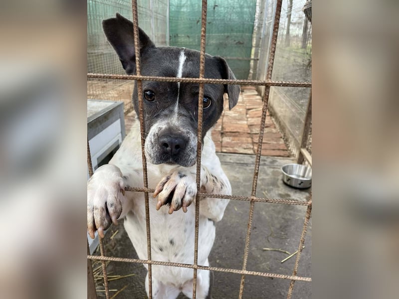 Liebenswerte Sheyran