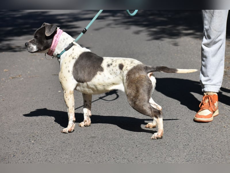 Liebenswerte Sheyran