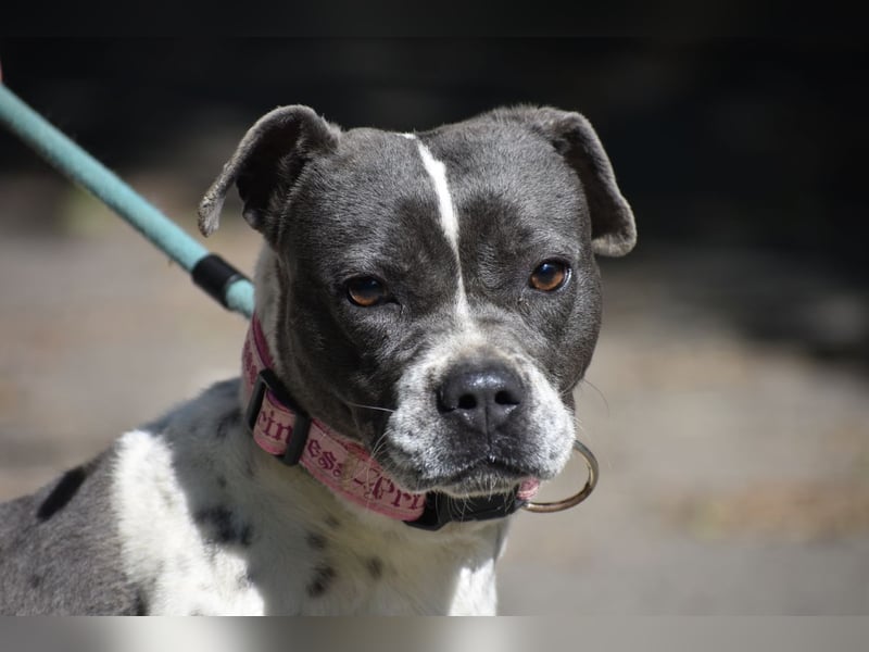 Liebenswerte Sheyran