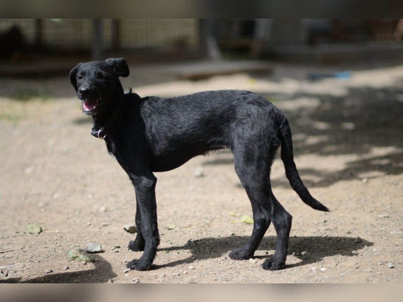 Onyx