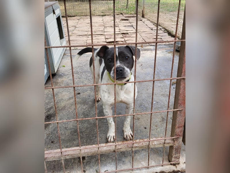 Liebenswerte Sheyran