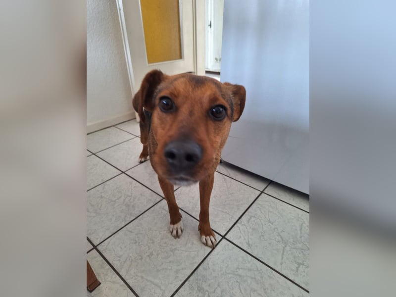 Ruhiger Felix *auf PS in 42855 Remscheid*