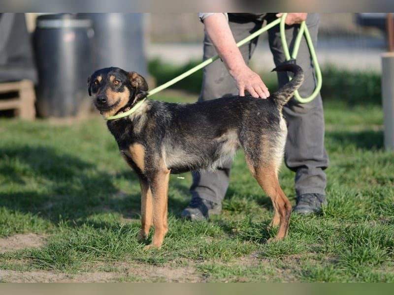 aufgeweckte Frieda